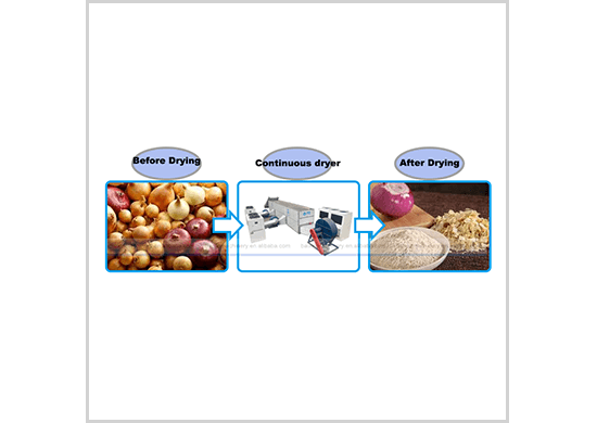 Onion drying machine